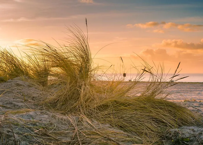 Regina Maris 4* Norddeich (Norden)